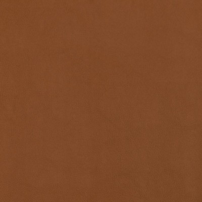 Silver State Old English Mustang